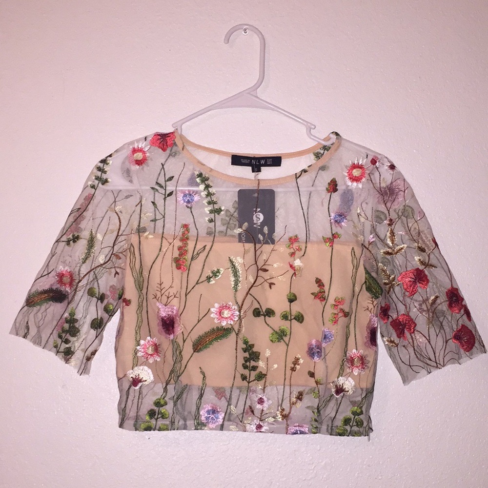 Embroidered Mesh Crop Top (pink)